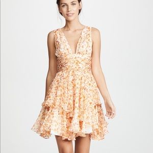 Caroline Constas STUNNER dress 🌟